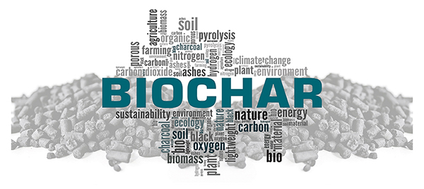 Biochar Pelletization - Good for Sustainability